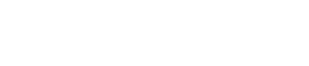 SafeHeroX Logo